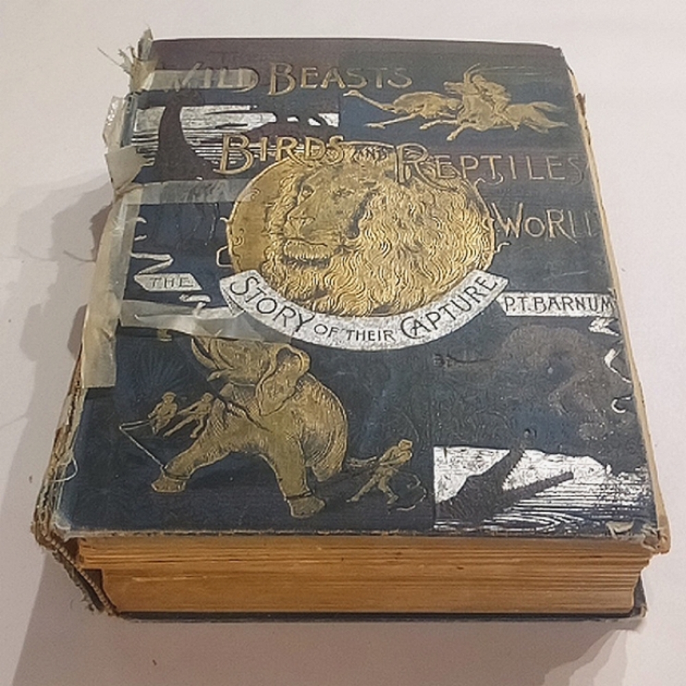 The Wild Beast Birds and Reptiles of the World: The Story of their Capture